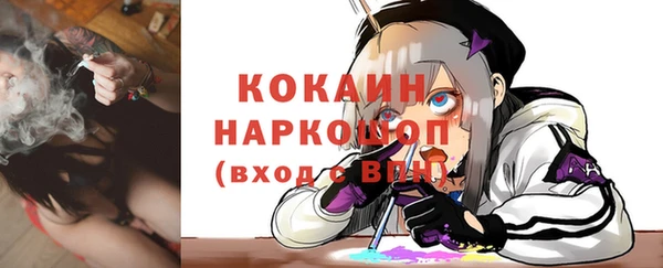 крисы Баксан