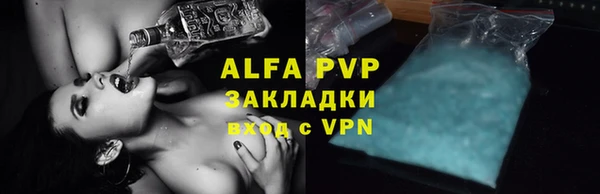 крисы Баксан