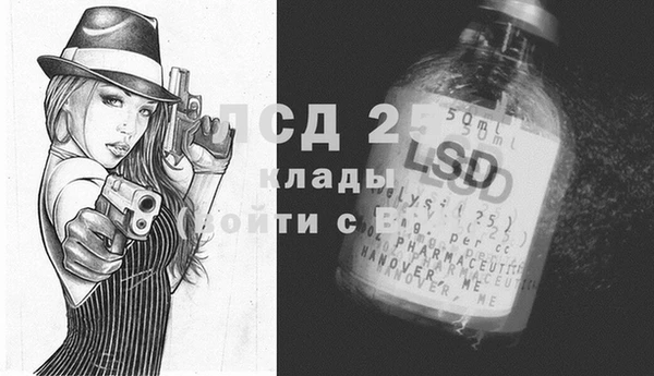 крисы Баксан