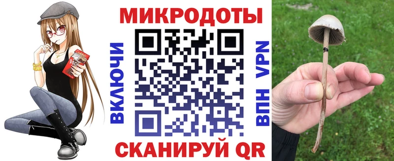 даркнет сайт  Ивангород  Псилоцибиновые грибы Psilocybine cubensis 